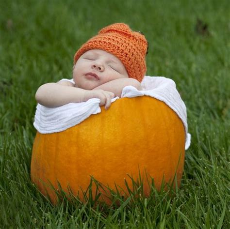 pumpkin newborn|baby pumpkin photos.